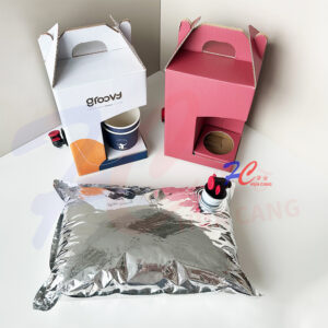 Printed Bag in Box Package with Tap, OEM Logo and Size Customization Available