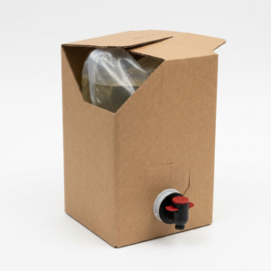 Bag-in-Box carton with dispensing tap and flexible bag fitment