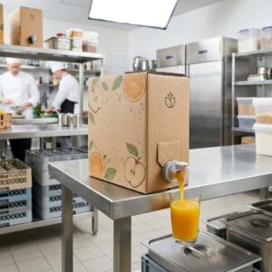 Juice bag-in-box packaging with carton and dispensing tap